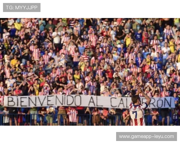 瓦拉内：法国中卫的坚实防线与世界足坛的崛起